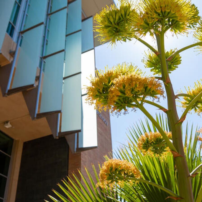 Campus beauty shot