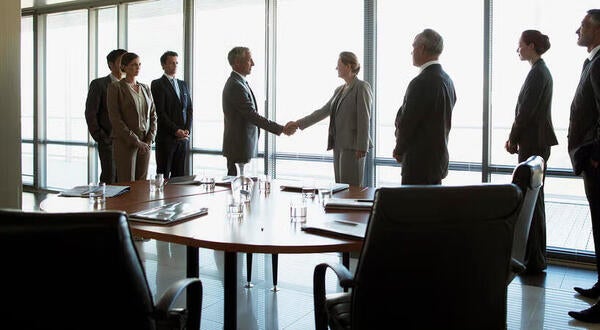 Business Professionals in a Meeting