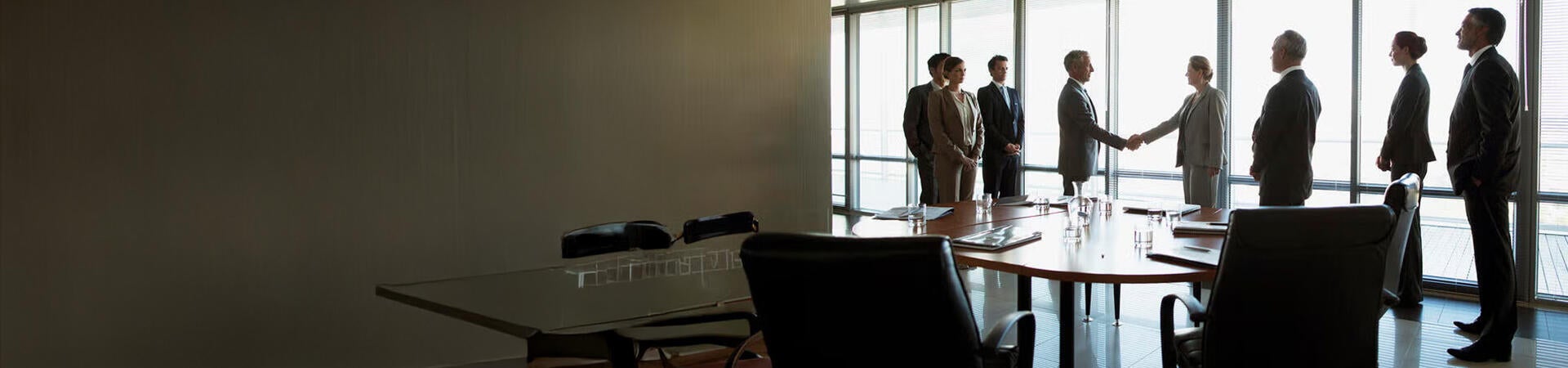 Business Professionals in a Meeting