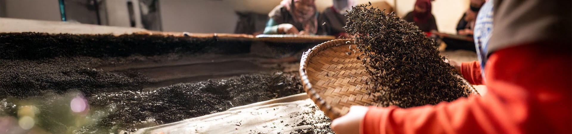  Processing Tea Leaves