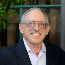 David Shulman portrait David Shulman portrait
