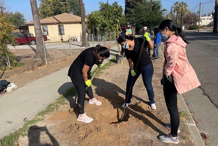 UCR School of Business Students Working